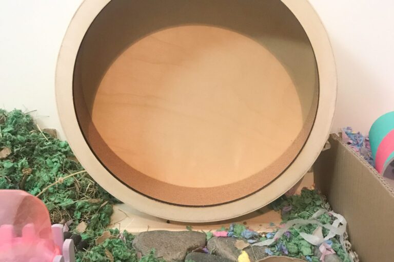 Großes Holzlaufrad in einem Hamstergehege