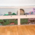 Großes, zweistöckiges Hamstergehege aus Holz und Glas mit tiefer Einstreu