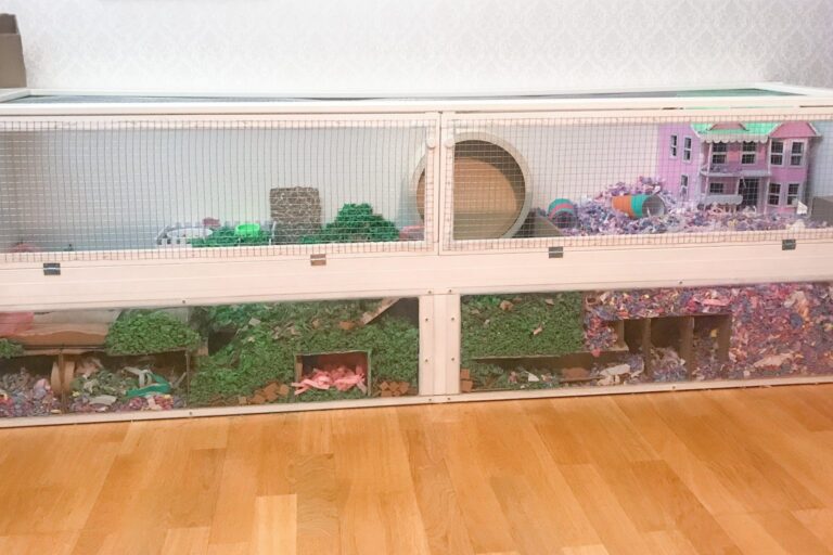 Großes, zweistöckiges Hamstergehege aus Holz und Glas mit tiefer Einstreu