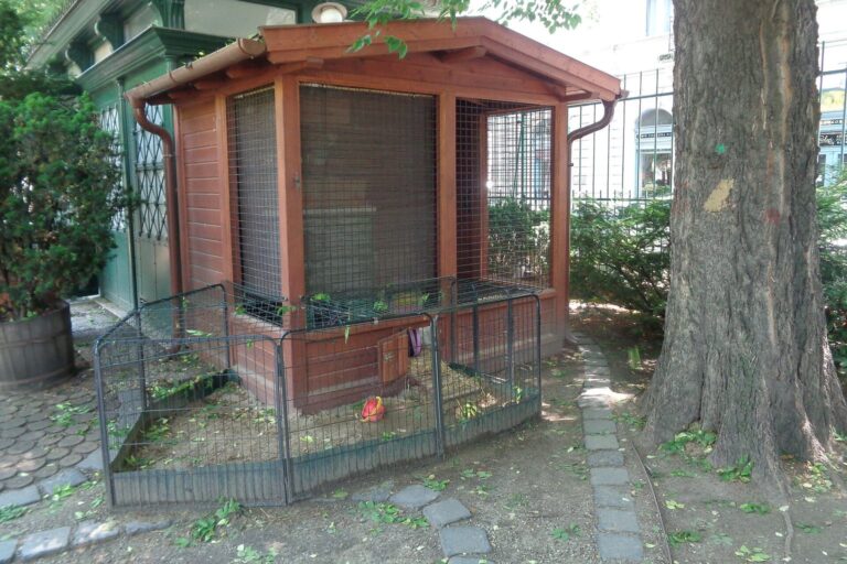 Holzhütte mit eingezäuntem Auslauf für Kaninchen in einem Garten
